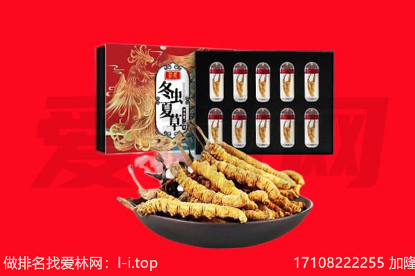 包头市回收虫草.jpg